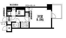 RISING STAGE(ライジング　ステージ）