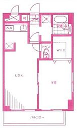 プルメリアガーデン