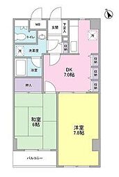 メゾーネジュンビッグ