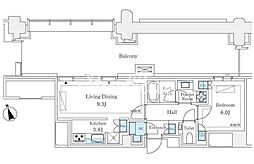 麻布台ヒルスカーテンフラサレシテンス 801