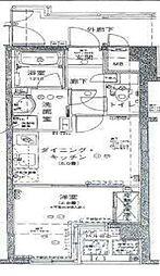 アエリア南青山 101