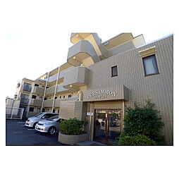 ペルシモンサウス 0303