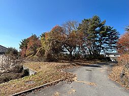 御代田町御代田　〜約450坪の整形角地〜