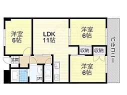 カターラ黄金野