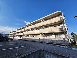 ヴェルドミールII 307