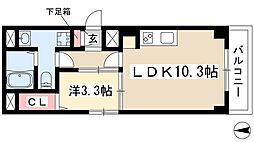 ティーブロッサム