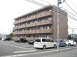 ハニーライズ 101