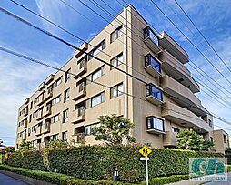 ウィステリアコート 207