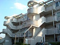 フラットサモアノ・北小金 102