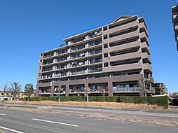 エヴァ―グリーンアペックス