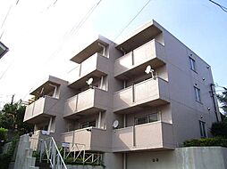 シェスタカメオ 102