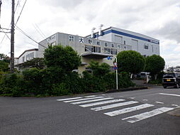 春日部市 上蛭田