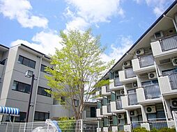 コンドミニアムメイ大倉山 223