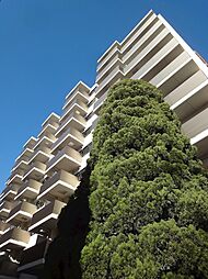 プライマル大井仙台坂 1009