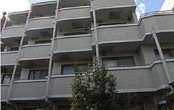 センチュリー学芸大 403