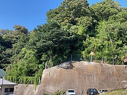 東逸見町２丁目山林