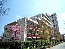 Brillia ist 三軒茶屋 アイビーテラス