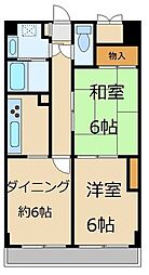 シャンノール 203