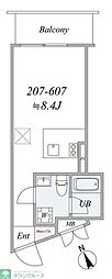 the trias kashiwa 207