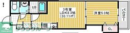 アルカンシエル柏 203