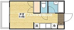 マーガレットＭ