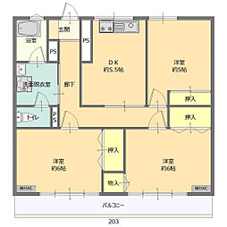 コロラード毛野 303