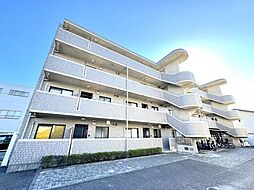 エル・パラシオ 304