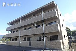 アルストロメリア 202