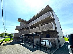 エム・セレーノ 203