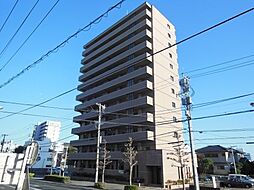 コルディエラ 0103