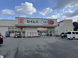 高知市口細山