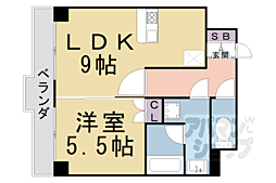 コリンノルド D33