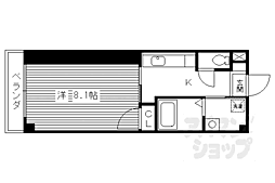 ラナンキュラス 303