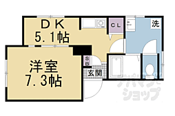 ベンチュラエンドウ桂 2A