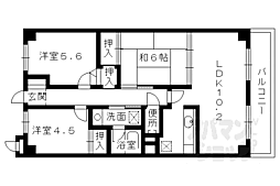 レジデンス碩 307