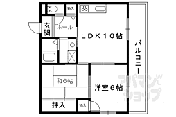 コンフォールパオ 203