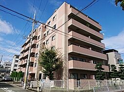 ゼハールト稲葉