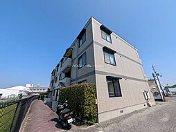 ビューラー藤木