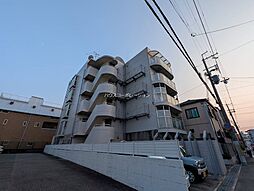 シロハイヌ武庫之荘