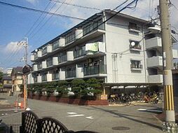 ライフ21武庫