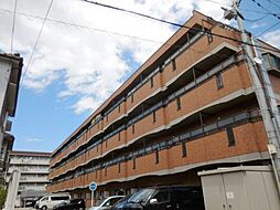 フリーダム中村