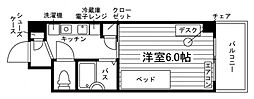 ペペルモコ シュッド