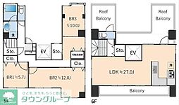 イルミナート白金 501