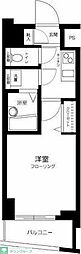 スカイコート後楽園ＷＥＳＴ 702