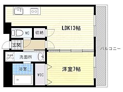 アドニスセンリ