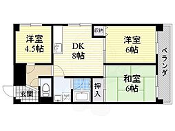 メゾン千里中央 507