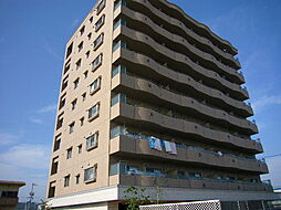 マーガレットＡ−２ 201