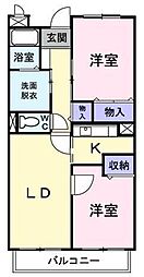 プリムロ−ズ 304