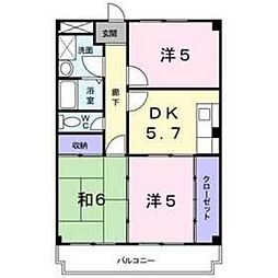 第2シャトーふじ 203