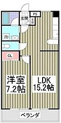 ファーストヒルズII 206